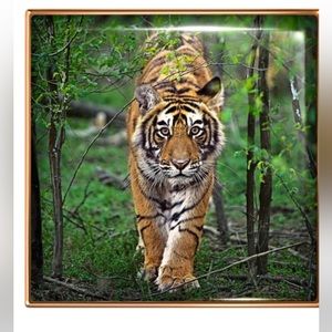 Chantecaille Luminescence TIGER Eye Shade